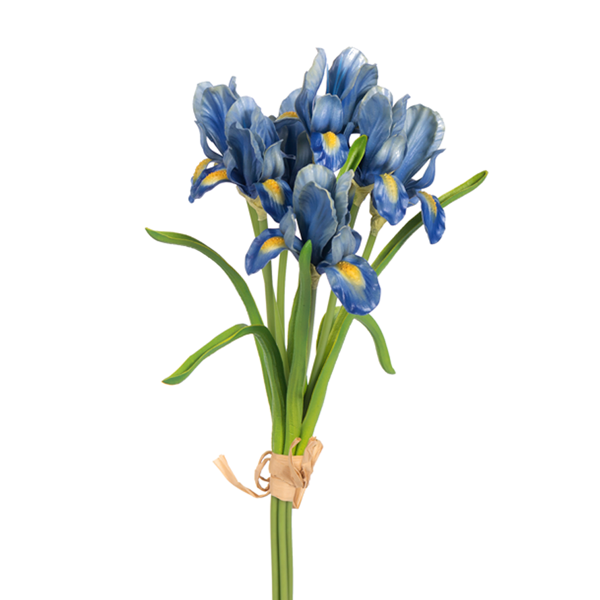 14" SM IRIS X 7 BLUE